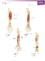 Sobotta Atlas of Human Anatomy  Head,Neck,Upper Limb Volume1 2006, page 200